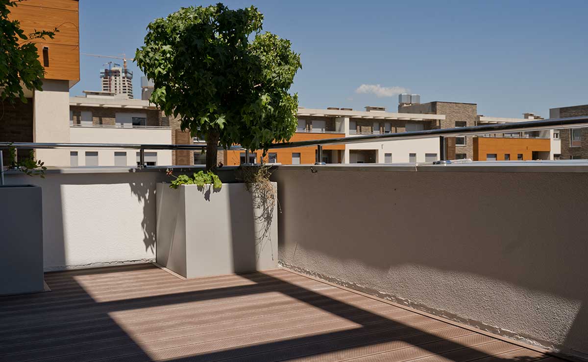 Εικόνα από τη συλλογή