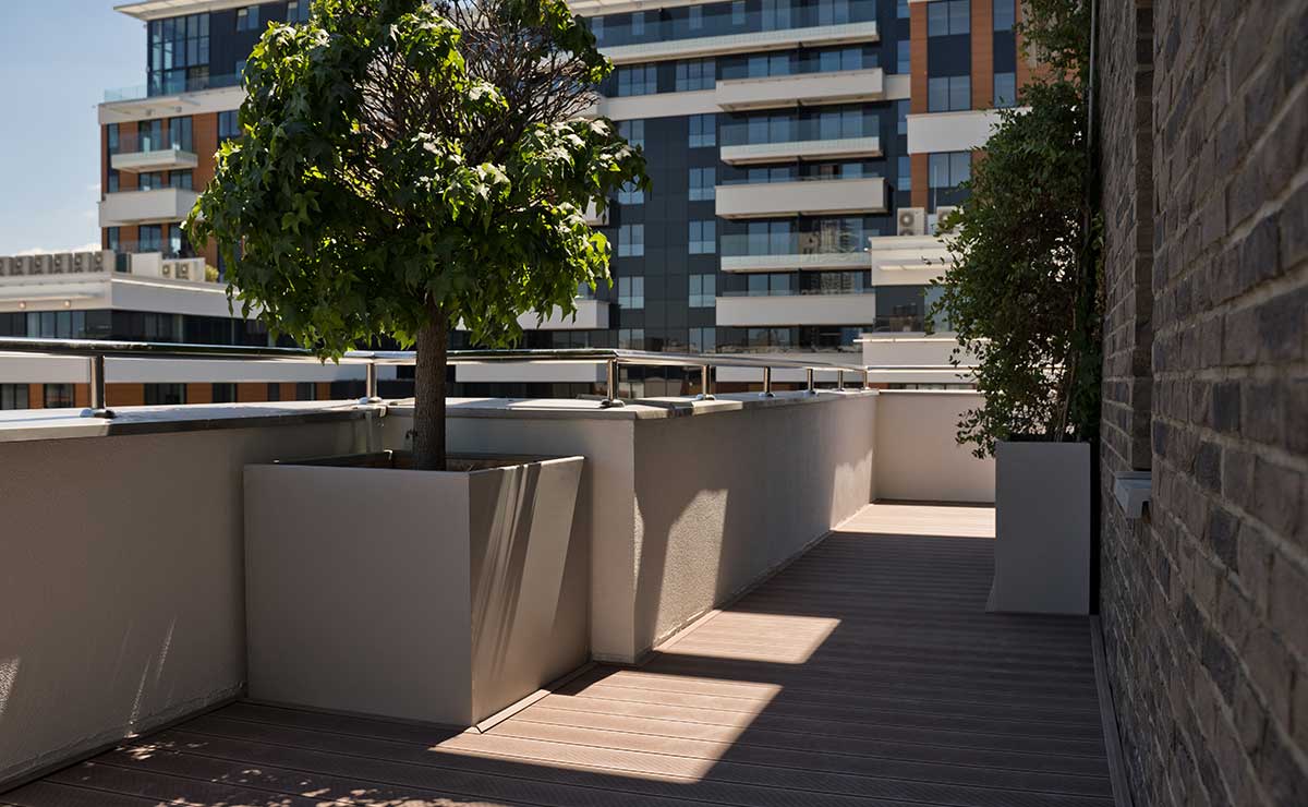 Εικόνα από τη συλλογή