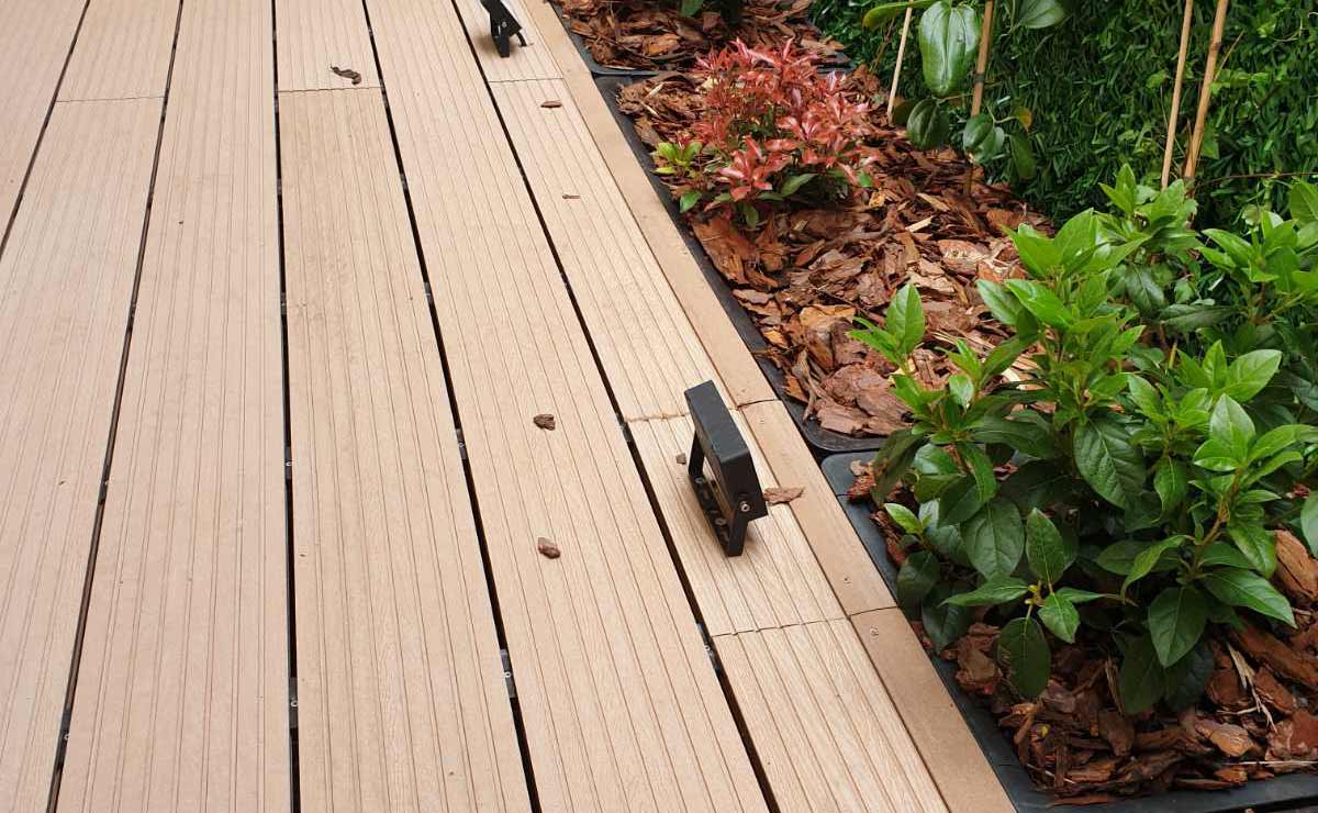 Εικόνα από τη συλλογή