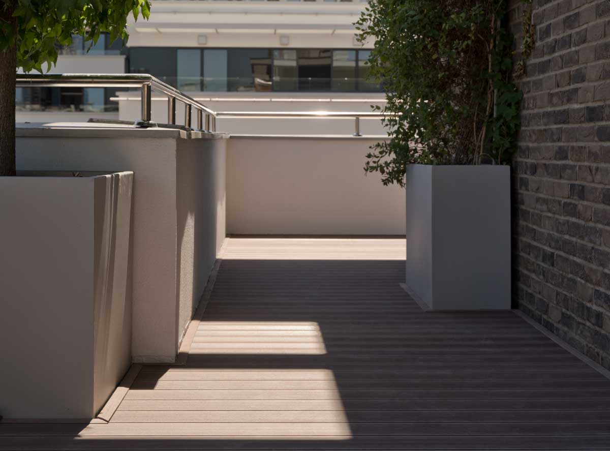 Εικόνα από τη συλλογή