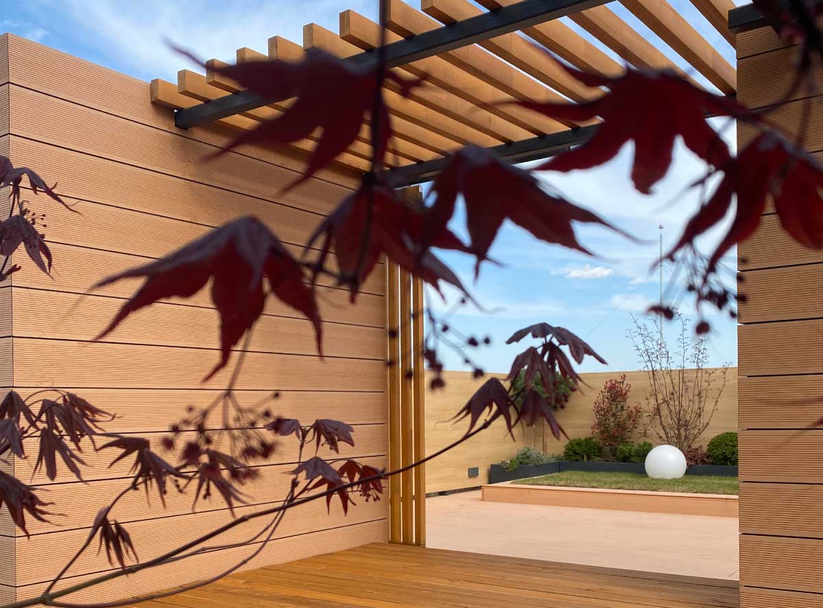 Εικόνα από τη συλλογή