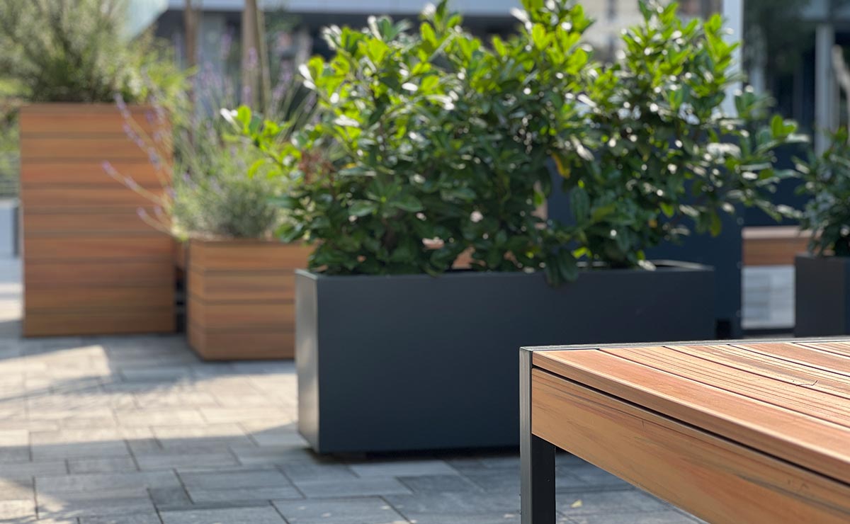 Εικόνα από τη συλλογή