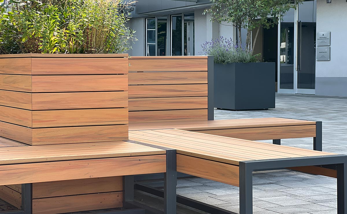 Εικόνα από τη συλλογή