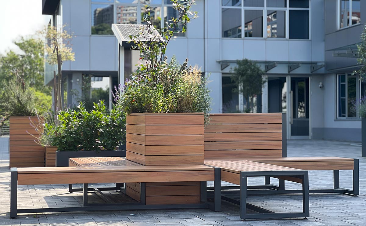 Εικόνα από τη συλλογή