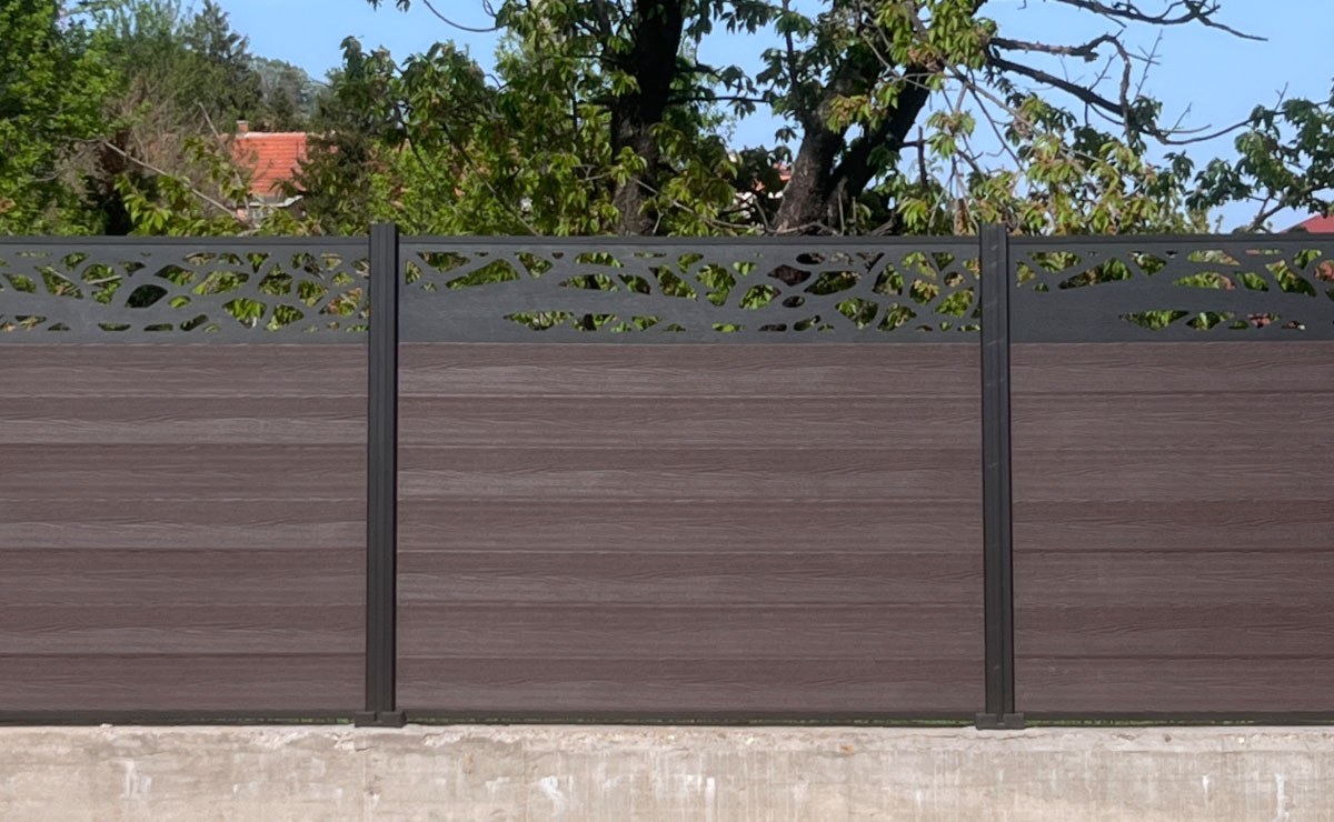 Εικόνα από τη συλλογή