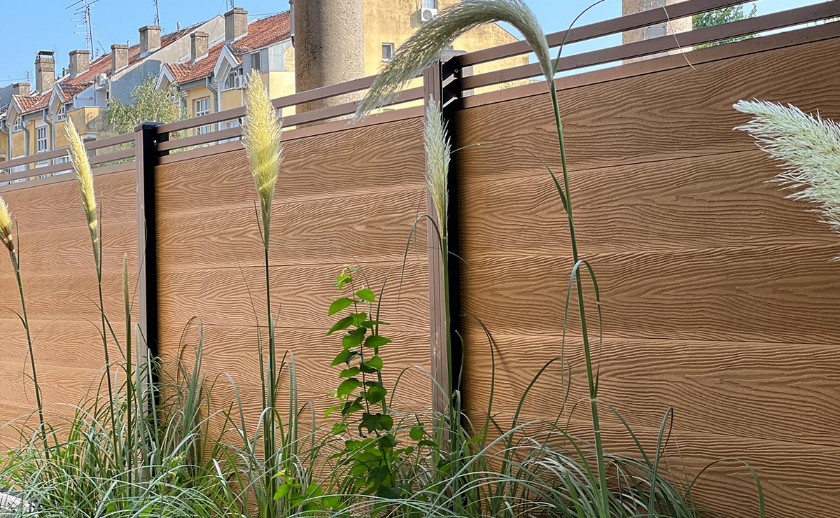 Εικόνα από τη συλλογή