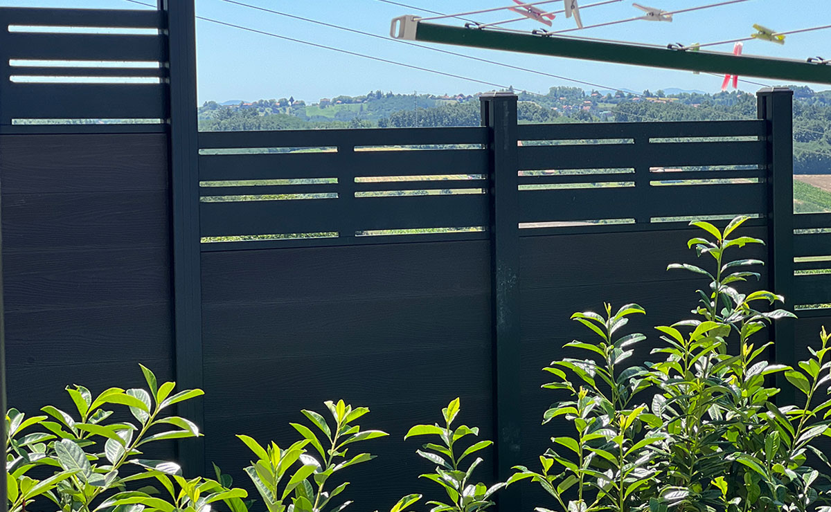 Εικόνα από τη συλλογή