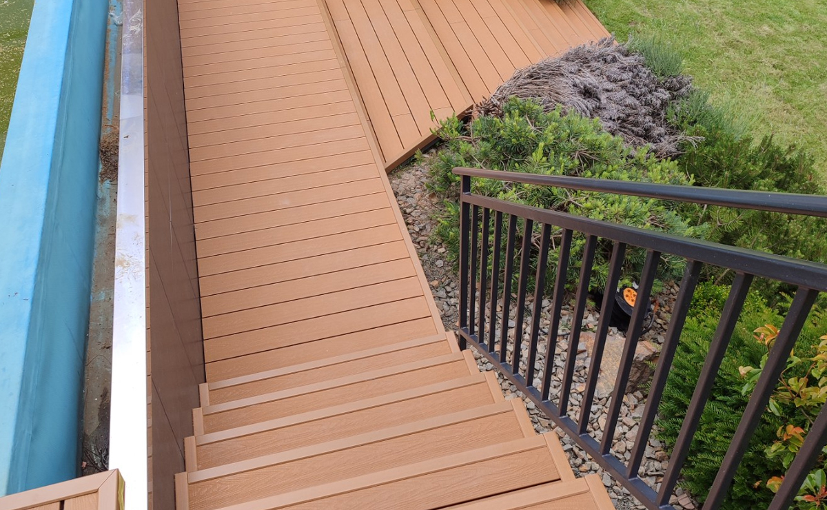 Εικόνα από τη συλλογή