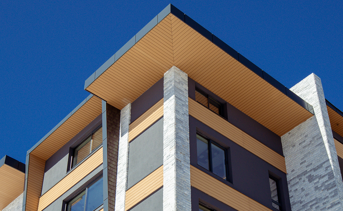 Εικόνα από τη συλλογή