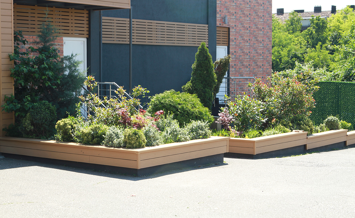 Εικόνα από τη συλλογή