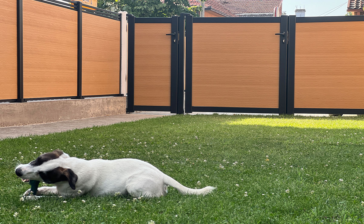 Εικόνα από τη συλλογή