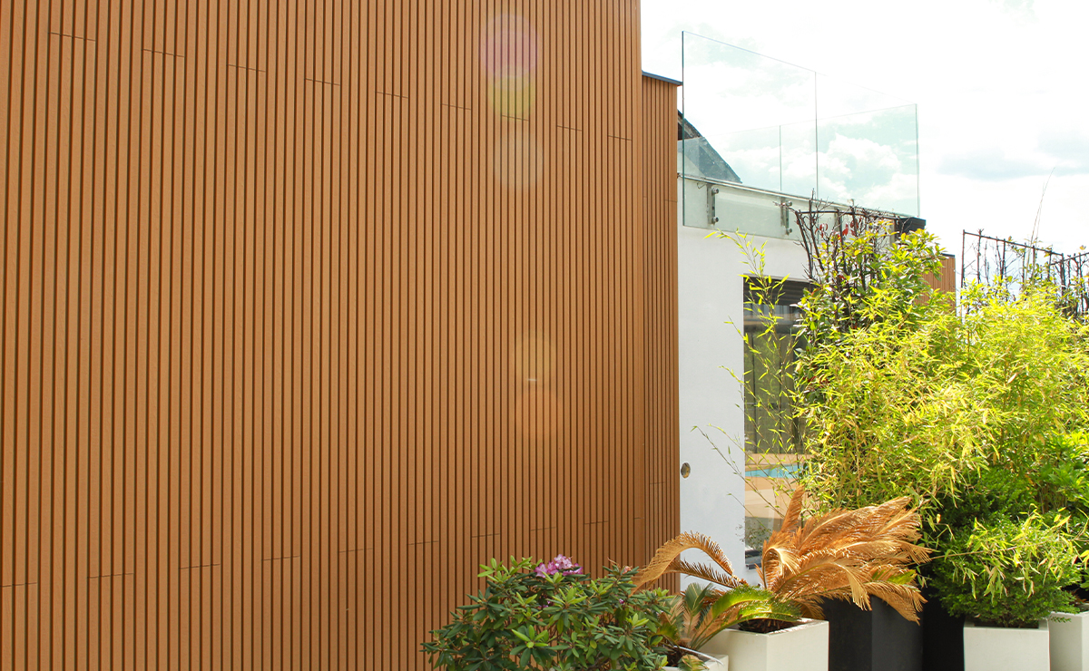 Εικόνα από τη συλλογή