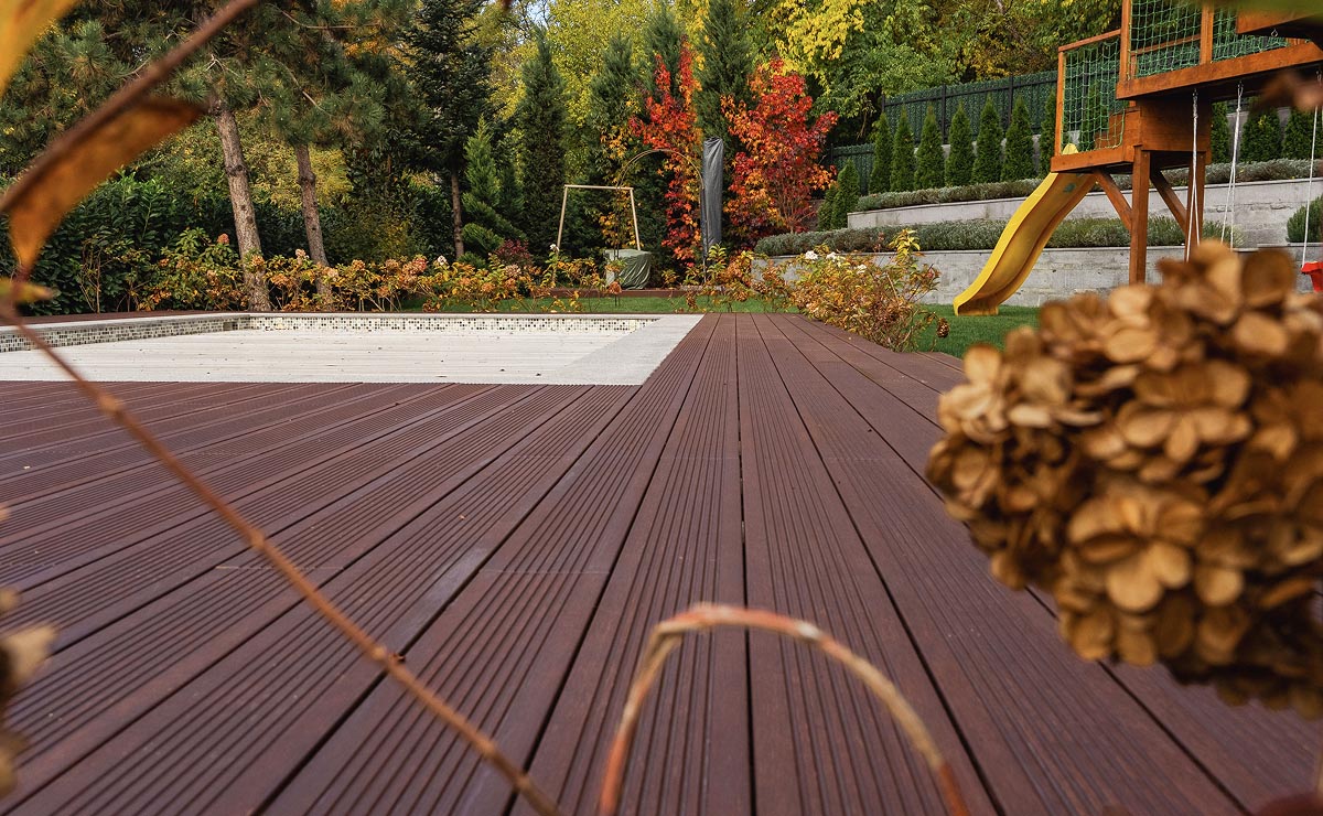 Εικόνα από τη συλλογή