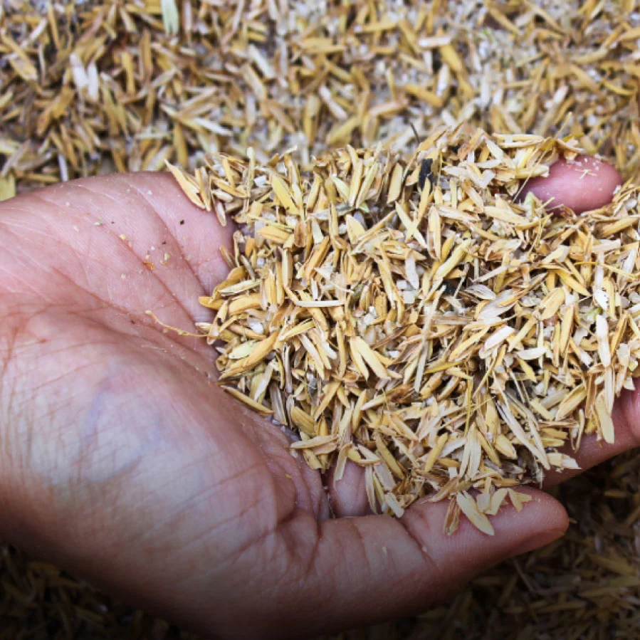 Savadeck Classic decking din orez